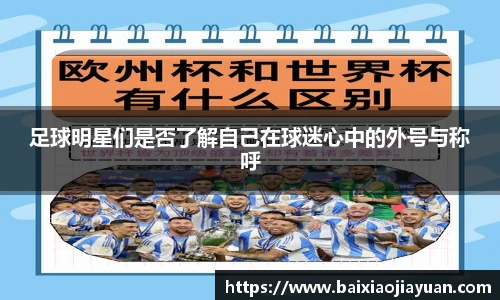 足球明星们是否了解自己在球迷心中的外号与称呼